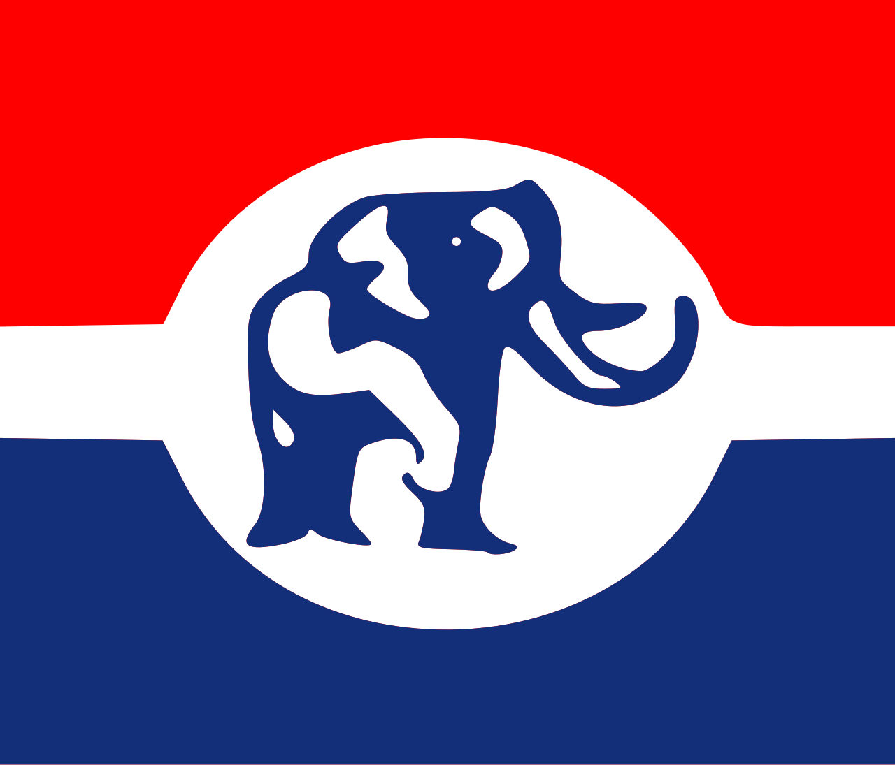 NPP Set to Announce Position on Proposed Amendments to Ghana's 1992 Constitution
