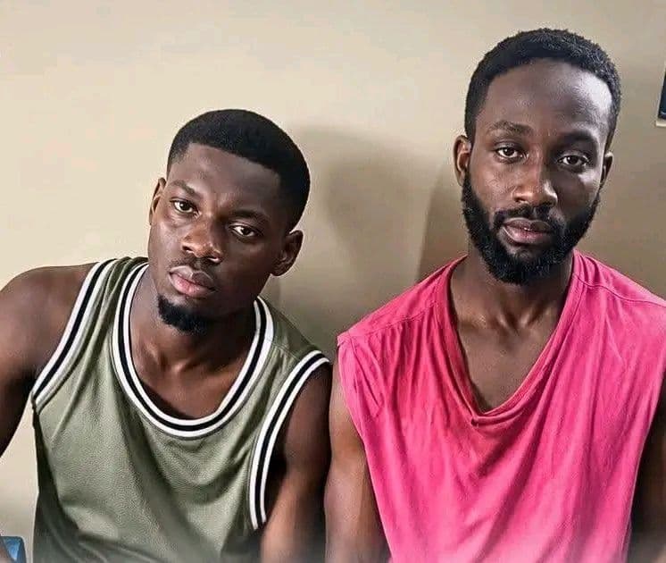 Police Arrest Two Brothers After Wild Chase for Stealing 30 Goats
